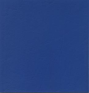 ErasisX : CADRIA  Color : BLUE WESLI