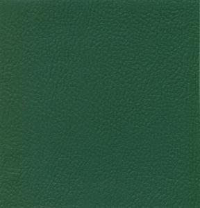 ErasisX : TEIDE   Color : GREEN S.